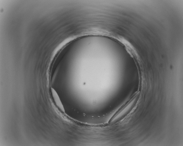 X0000080691238200612301441