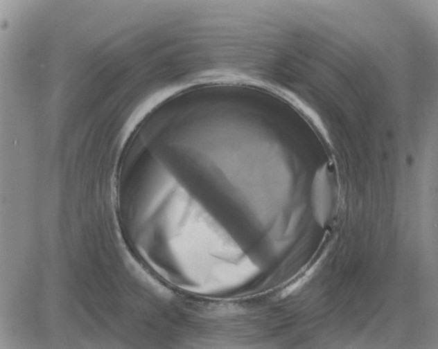 X0000080691239200612301441