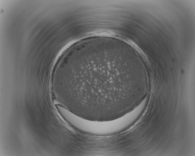 X0000080691240200612301441