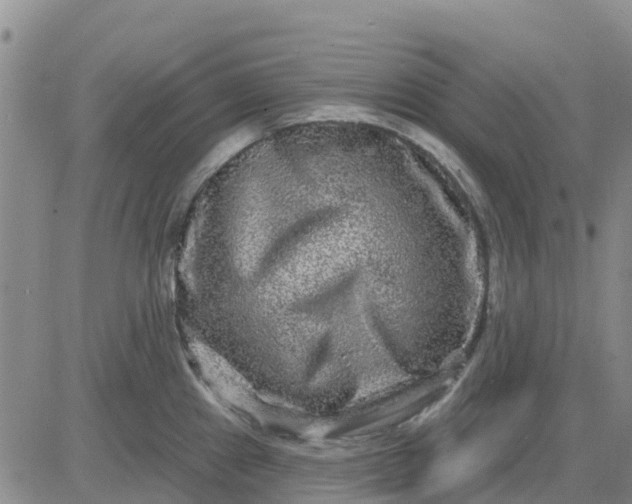 X0000080691241200612301441