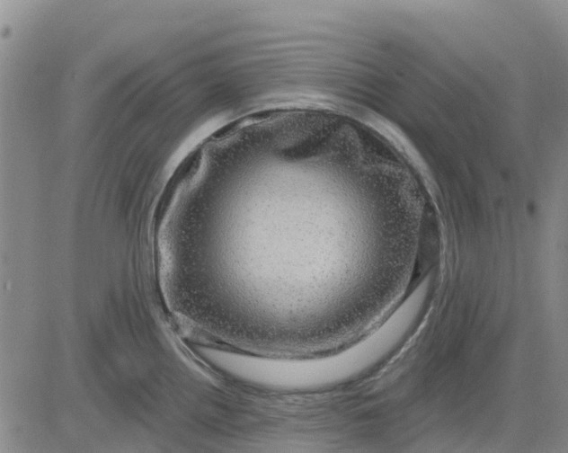 X0000080691242200612301441