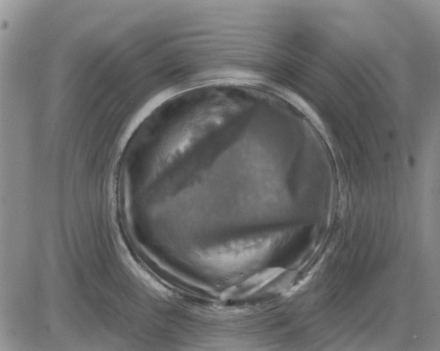 X0000080691243200612301441