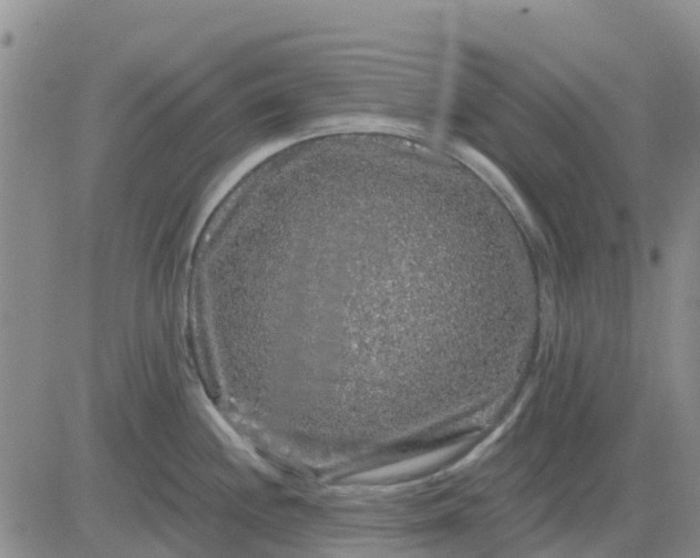 X0000080691244200612301441