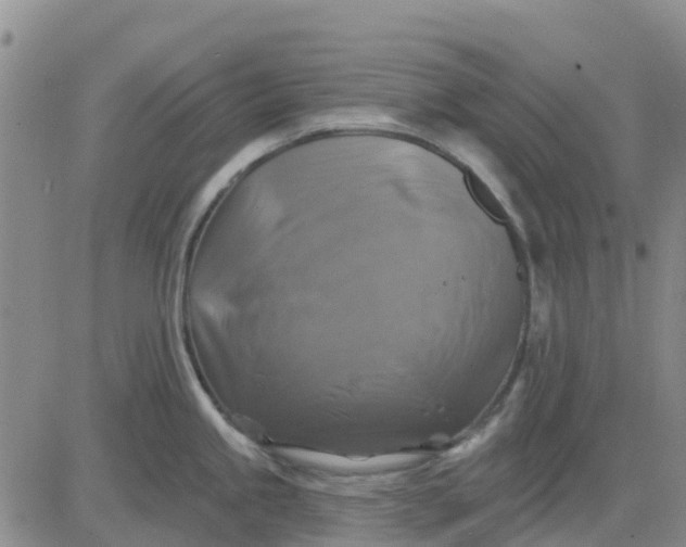 X0000080691245200612301441