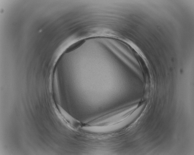 X0000080691246200612301441