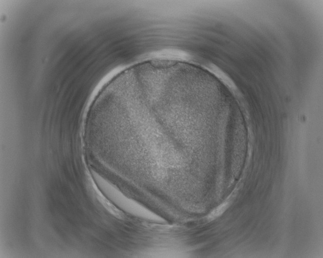 X0000080691248200612301442