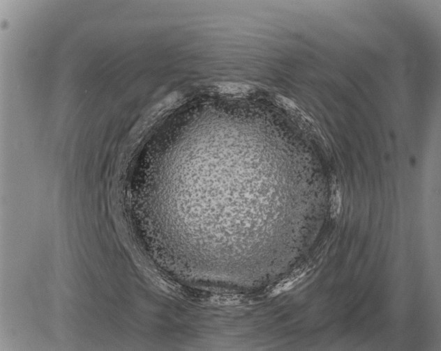 X0000080691249200612301441