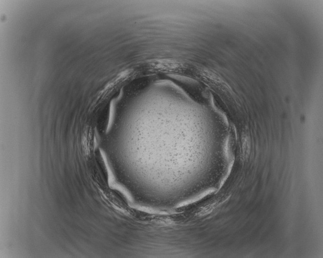 X0000080691250200612301441