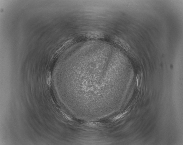 X0000080691251200612301441