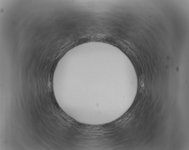 X0000080691252200612301441