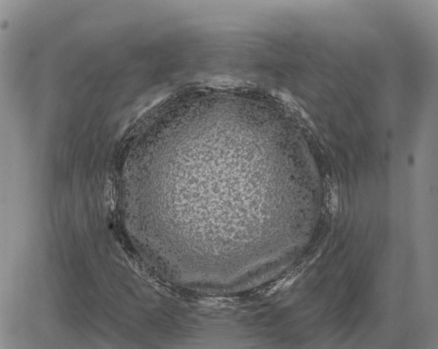 X0000080691253200612301441