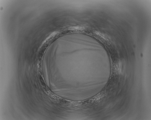 X0000080691254200612301441