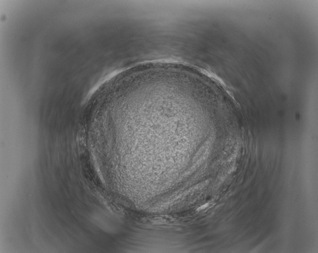 X0000080691255200612301441