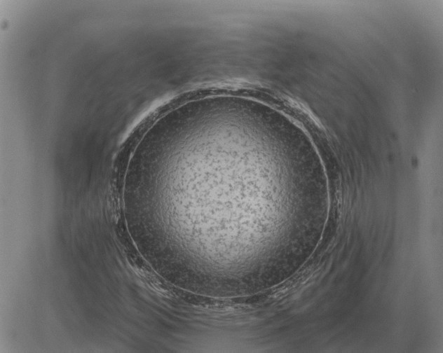 X0000080691256200612301441