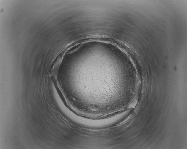 X0000080691257200612301441