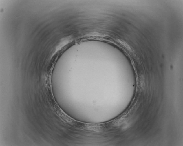 X0000080691258200612301441