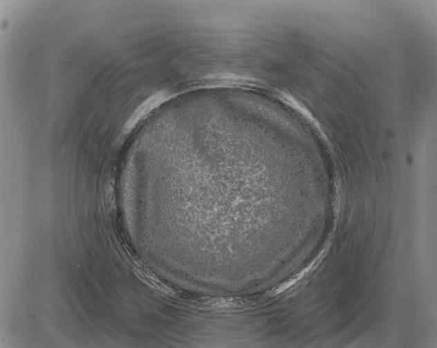 X0000080691259200612301441