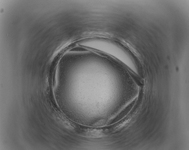 X0000080691261200612301441