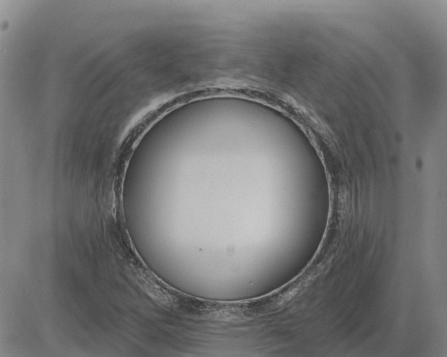 X0000080691262200612301441