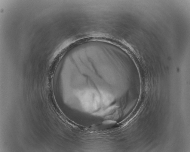 X0000080691263200612301441