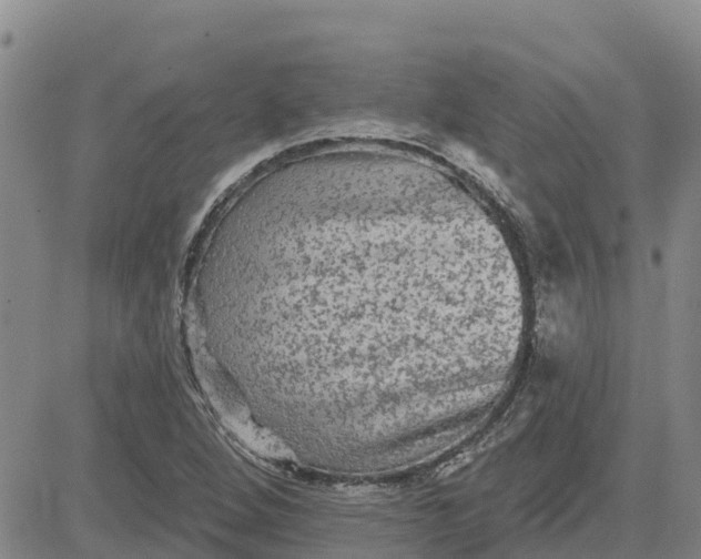 X0000080691264200612301441