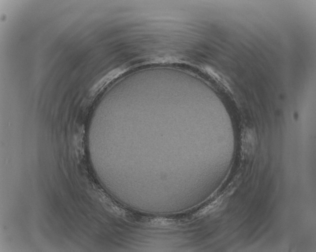 X0000080691265200612301440