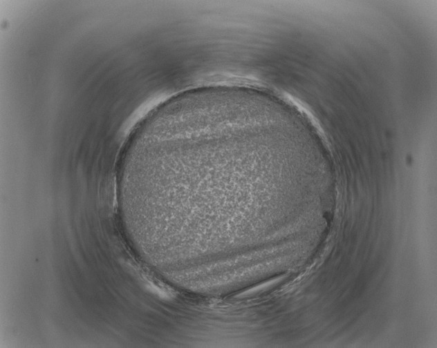 X0000080691267200612301440