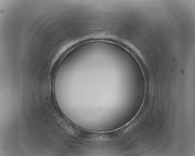 X0000080691270200612301440