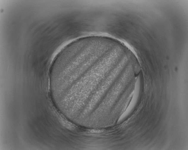 X0000080691271200612301440