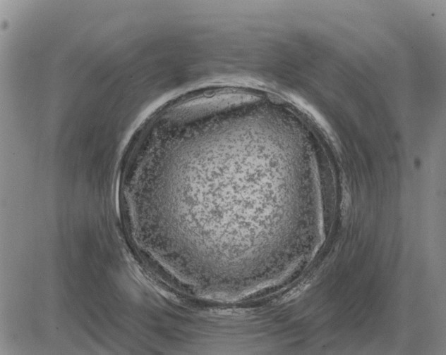 X0000080691272200612301440