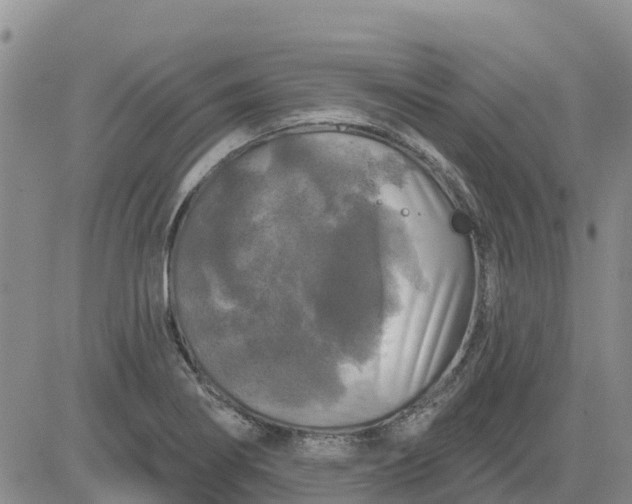 X0000080691274200612301440