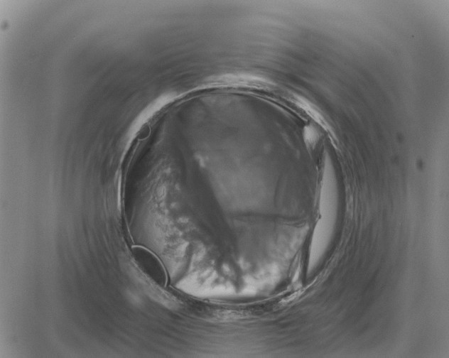 X0000080691275200612301440