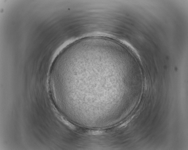 X0000080691278200612301440