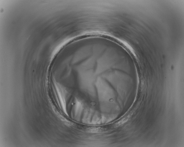 X0000080691279200612301440