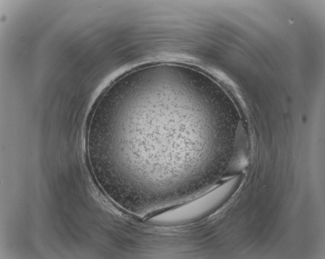 X0000080691280200612301440