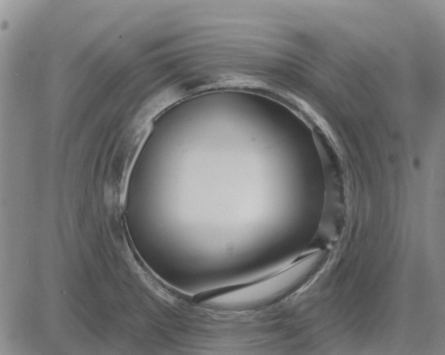 X0000080691281200612301440