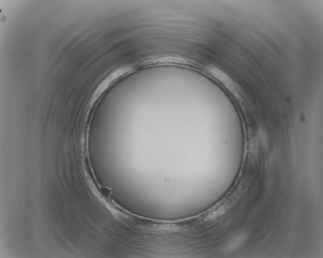 X0000080691282200612301440