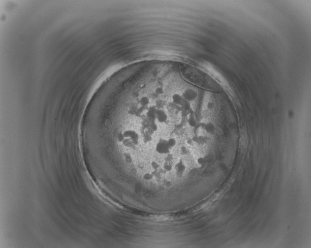 X0000080691283200612301440