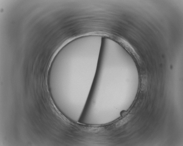 X0000080691284200612301440