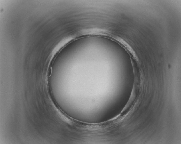 X0000080691285200612301440