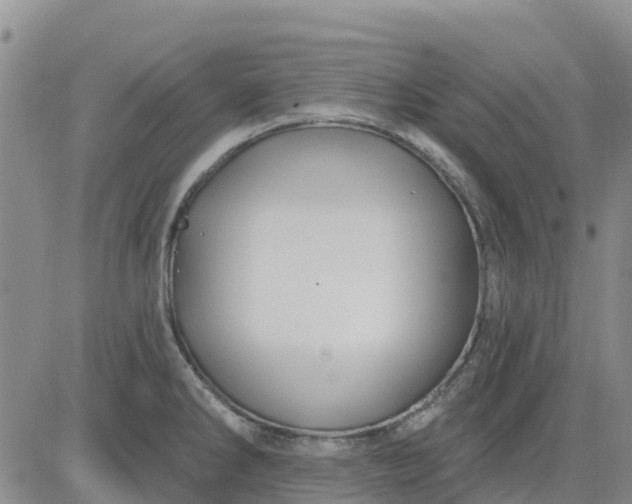 X0000080691286200612301440