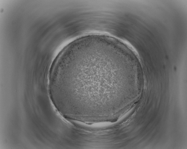 X0000080691287200612301440