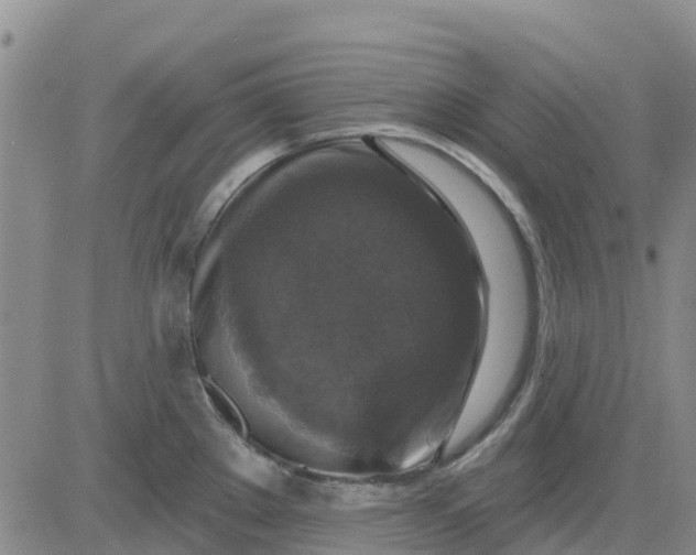 X0000080691289200612301440