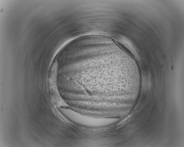 X0000080691292200612301440