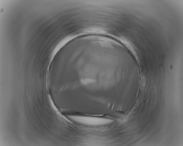 X0000080691295200612301440