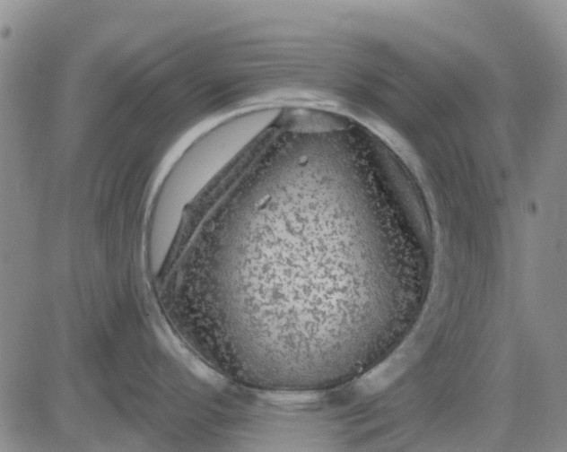 X0000080691296200612301440