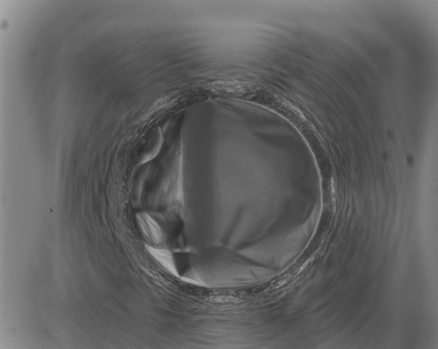 X0000080691297200612301439