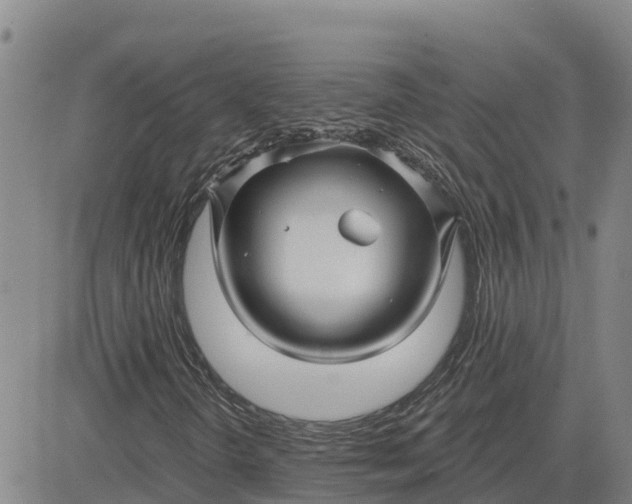 X0000080691298200612301439