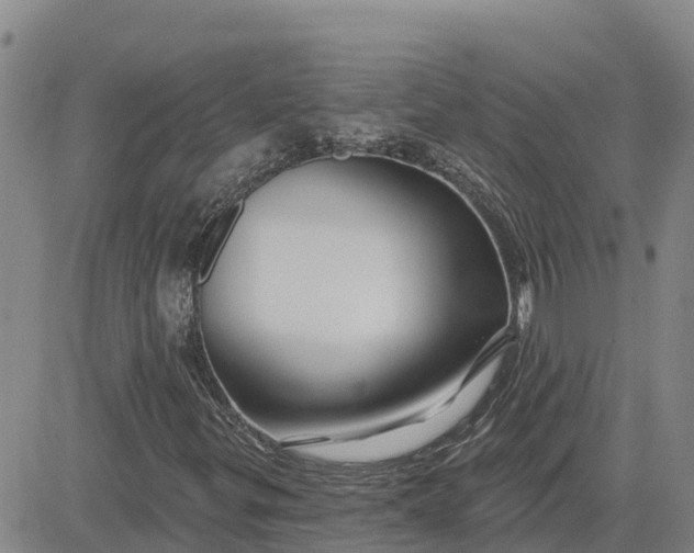 X0000080691299200612301439