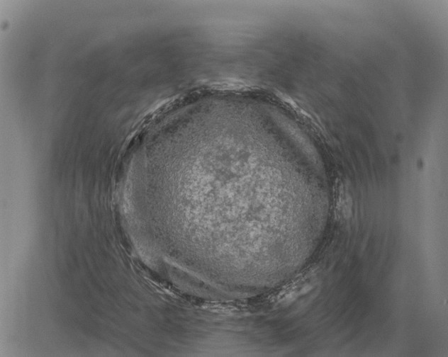 X0000080691301200612301439